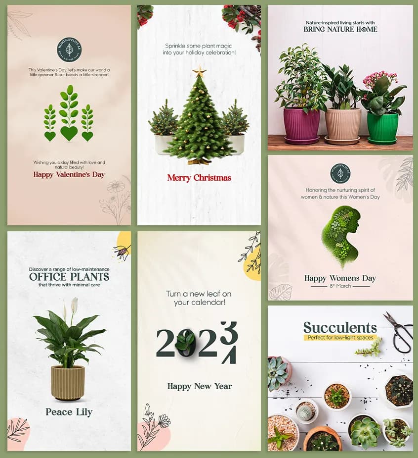 Seven HomeSupplies social posts in a grid: Valentine's Day, Christmas, New Year and Women's Day greetings, office plants, potted plants and succulents