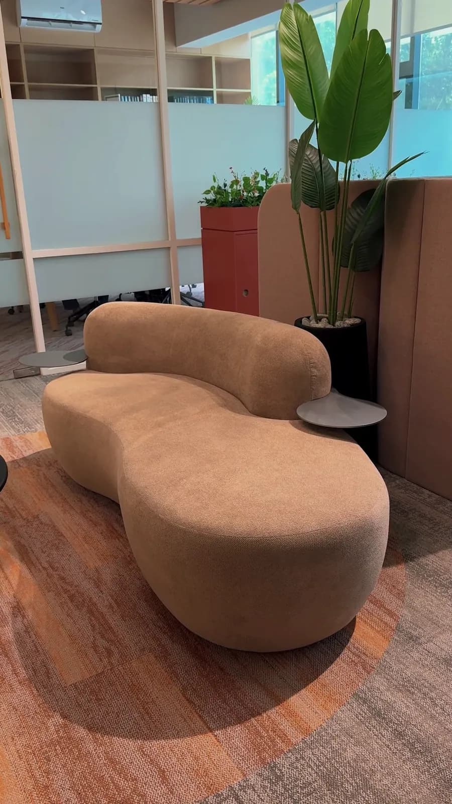 Still from a reel: a curved camel-coloured sofa in a showroom, with a plant and shelving behind